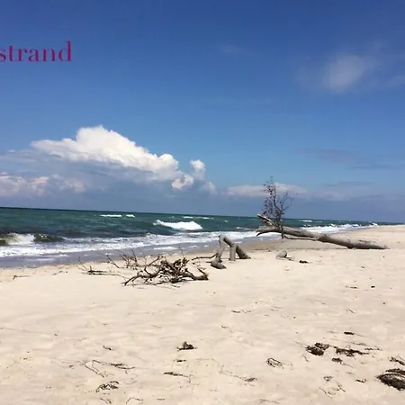 Appartement Strandgut