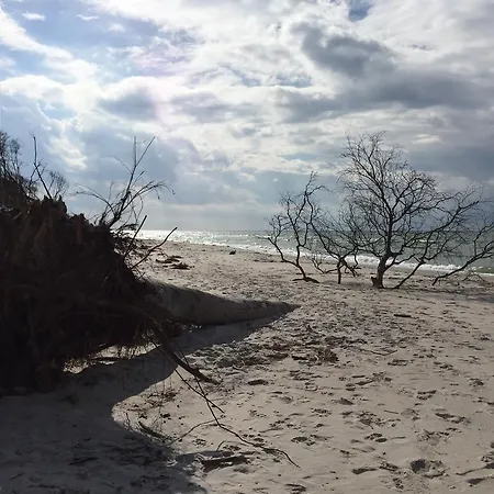 Strandgut