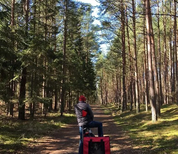 Strandgut * 프레로